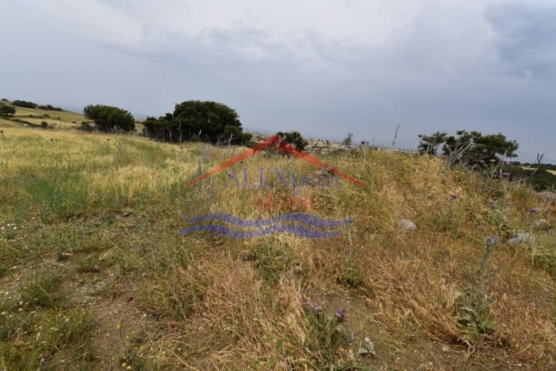 Parcel in Alonia, Samothraki — Photo 2 of 4