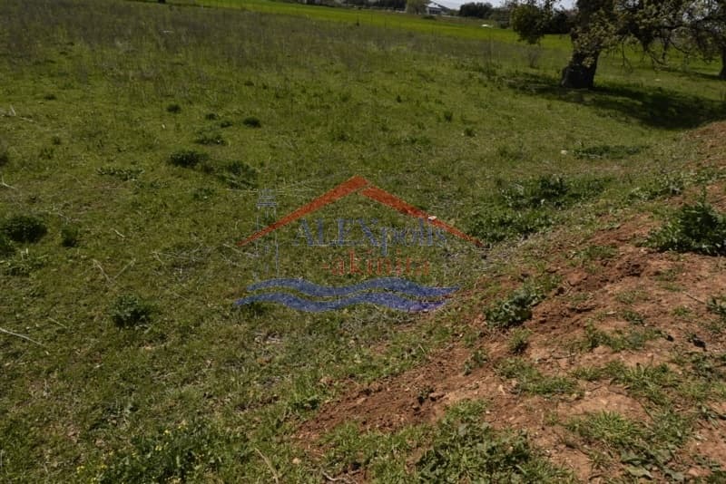 Building Plot in Agios Nektarios, Alexandroupoli — Photo 4 of 10