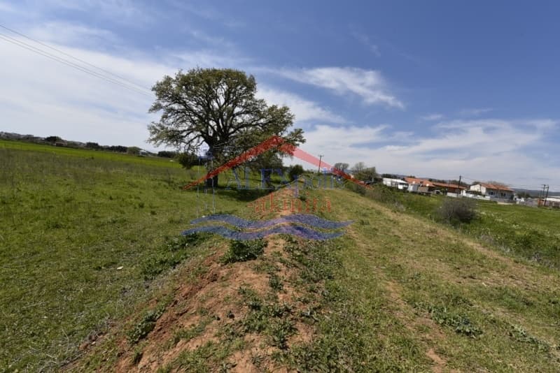 Building Plot in Agios Nektarios, Alexandroupoli — Photo 8 of 10