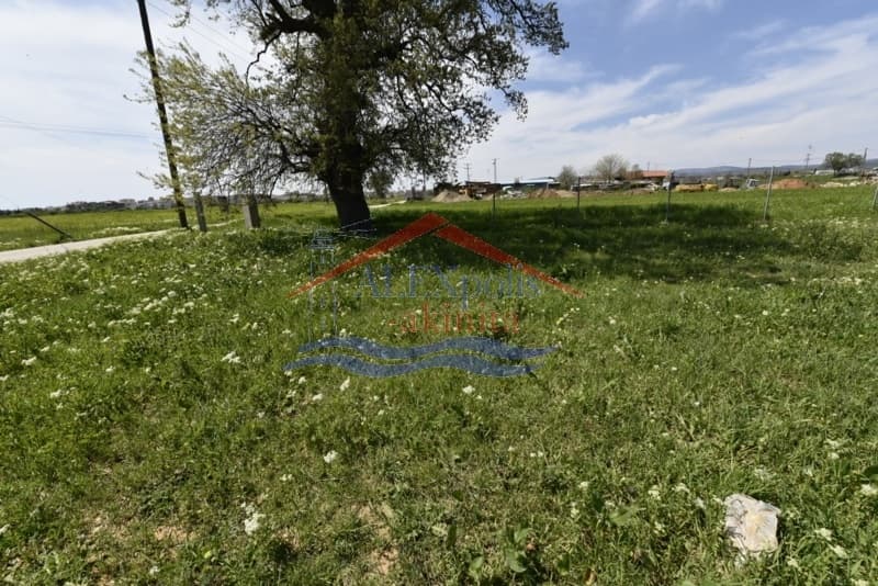 Αγροτεμάχιο στην Άγιος Νεκτάριος, Αλεξανδρούπολη — Φωτογραφία 28 από 31