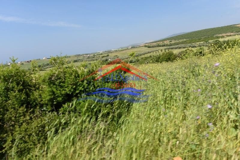 Αγροτεμάχιο στην Νέα Χιλή, Αλεξανδρούπολη — Φωτογραφία 4 από 4