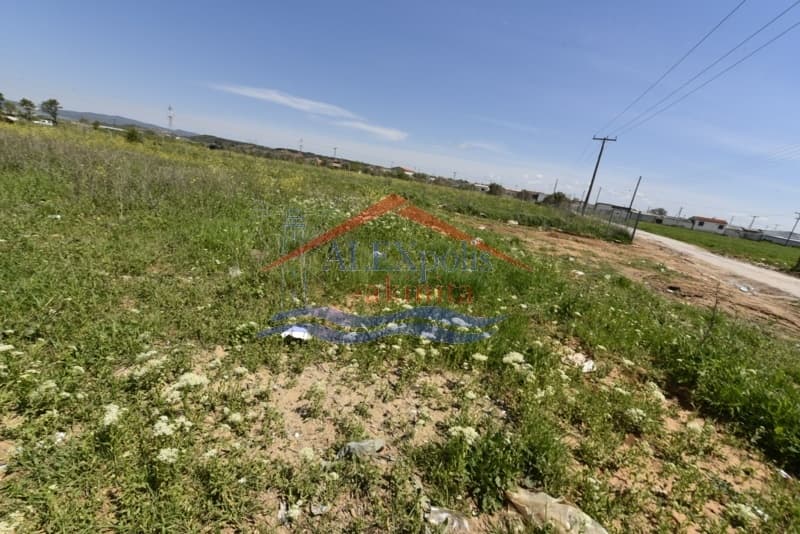 Αγροτεμάχιο στην Άγιος Νεκτάριος, Αλεξανδρούπολη — Φωτογραφία 25 από 31