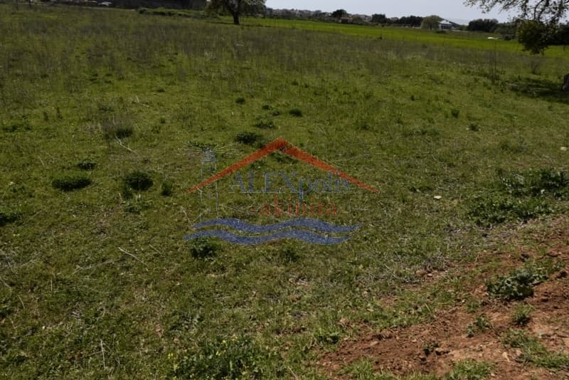 Building Plot in Agios Nektarios, Alexandroupoli — Photo 3 of 10