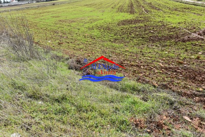 Αγροτεμάχιο στην Μεταμόρφωση Σωτήρος, Αλεξανδρούπολη — Φωτογραφία 2 από 4