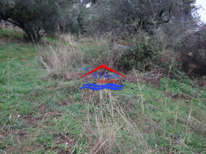 Οικόπεδο στην Μάκρη, Αλεξανδρούπολη — Φωτογραφία 5 από 5
