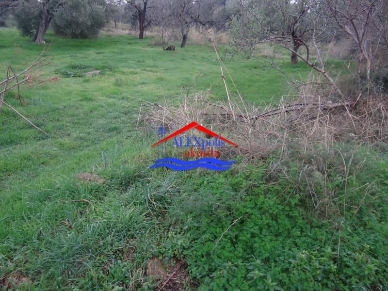 Οικόπεδο στην Μάκρη, Αλεξανδρούπολη — Φωτογραφία 4 από 5