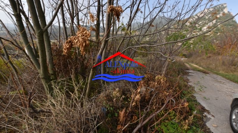 Οικόπεδο στην Άβαντας, Αλεξανδρούπολη — Φωτογραφία 6 από 6
