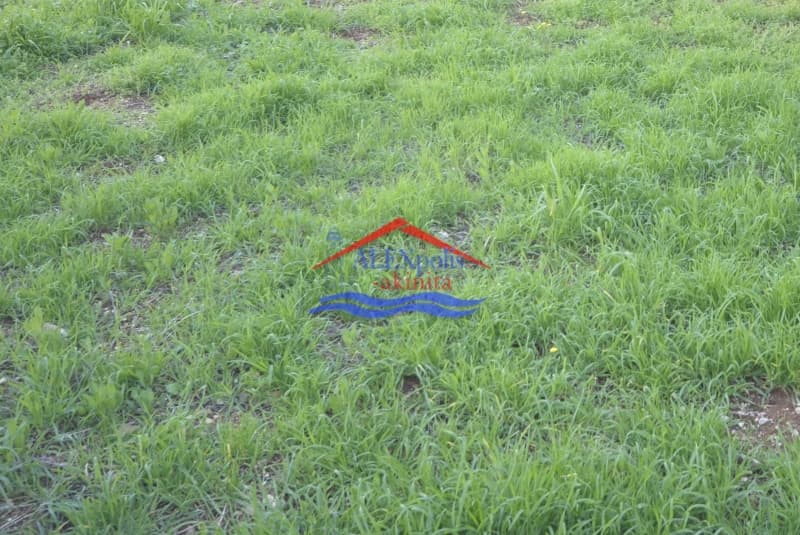 Αγροτεμάχιο στην Εφορία, Αλεξανδρούπολη — Φωτογραφία 2 από 3