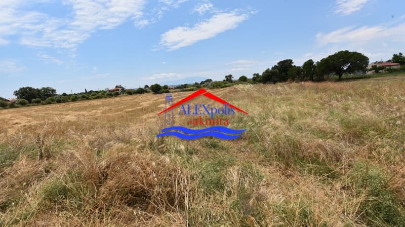Parcel in Paralia Dikellon, Alexandroupoli — Photo 5 of 13