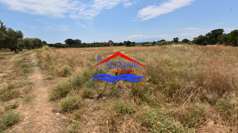 Parcel in Paralia Dikellon, Alexandroupoli — Photo 1 of 13