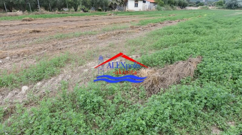 Parcel in Paralia Dikellon, Alexandroupoli — Photo 13 of 18