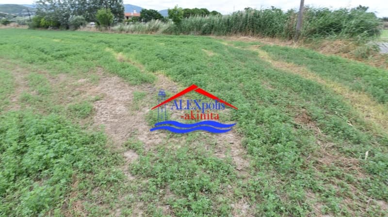 Parcel in Paralia Dikellon, Alexandroupoli — Photo 18 of 18