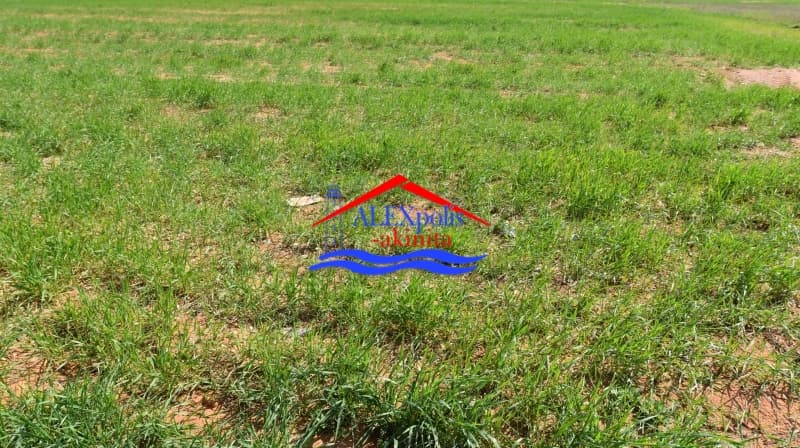 Parcel in Metamorfwsi Sotiros, Alexandroupoli — Photo 13 of 25