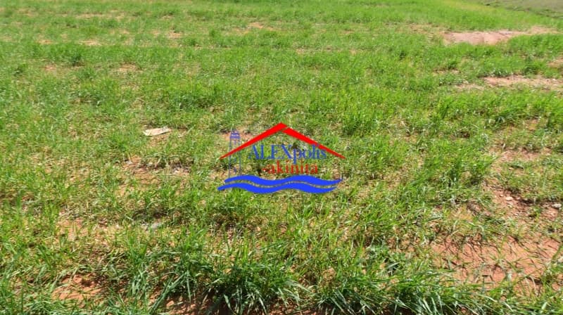 Parcel in Metamorfwsi Sotiros, Alexandroupoli — Photo 14 of 25