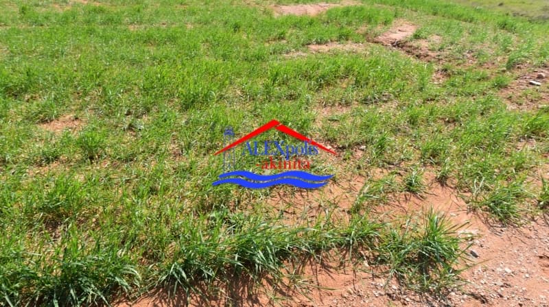 Parcel in Metamorfwsi Sotiros, Alexandroupoli — Photo 16 of 25