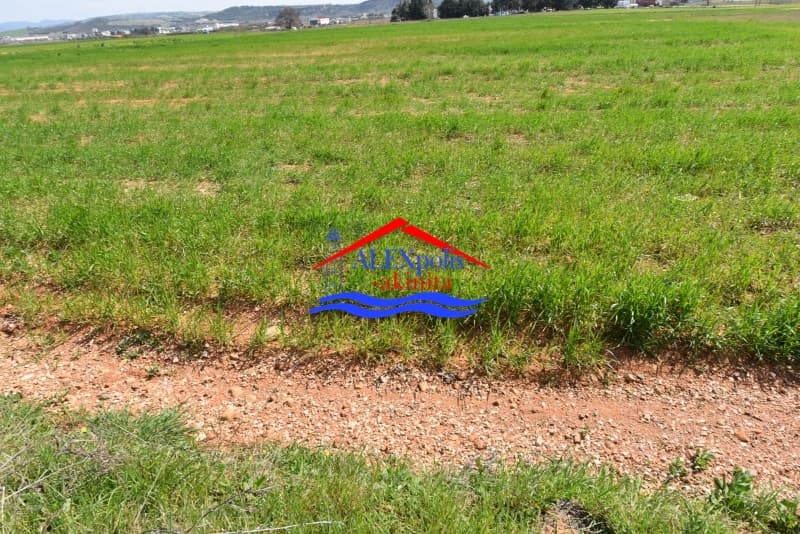 Parcel in Metamorfwsi Sotiros, Alexandroupoli — Photo 5 of 25