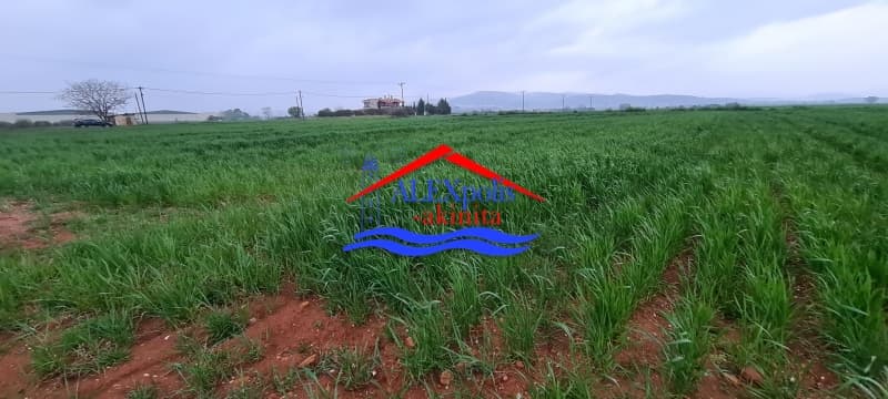 Parcel in Metamorfwsi Sotiros, Alexandroupoli — Photo 22 of 25