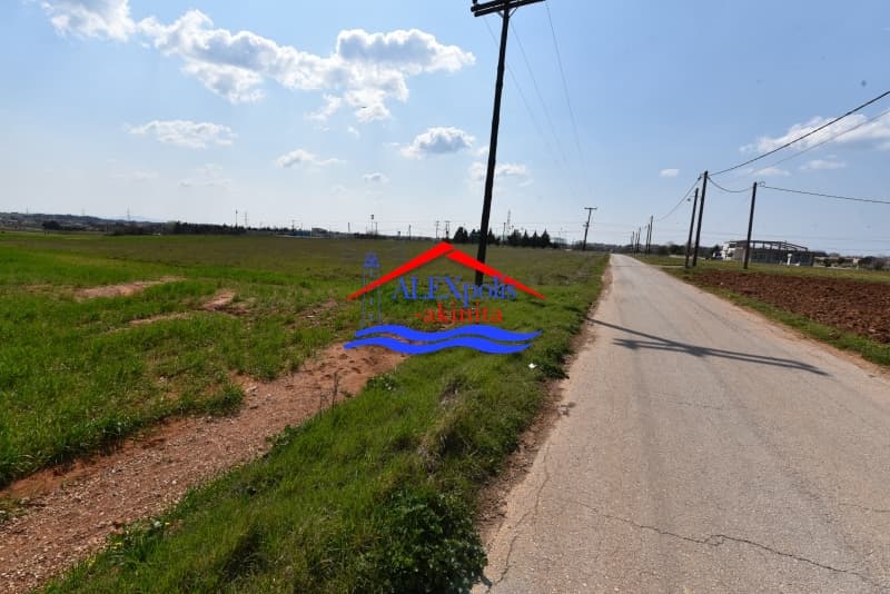 Parcel in Metamorfwsi Sotiros, Alexandroupoli — Photo 5 of 22