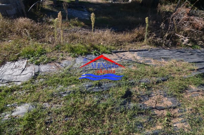 Parcel in Nea Chili, Alexandroupoli — Photo 3 of 4