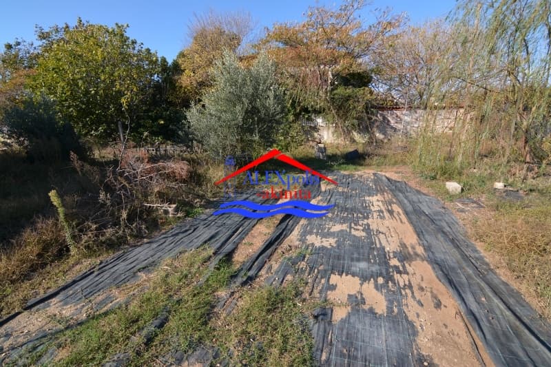 Parcel in Nea Chili, Alexandroupoli — Photo 1 of 4