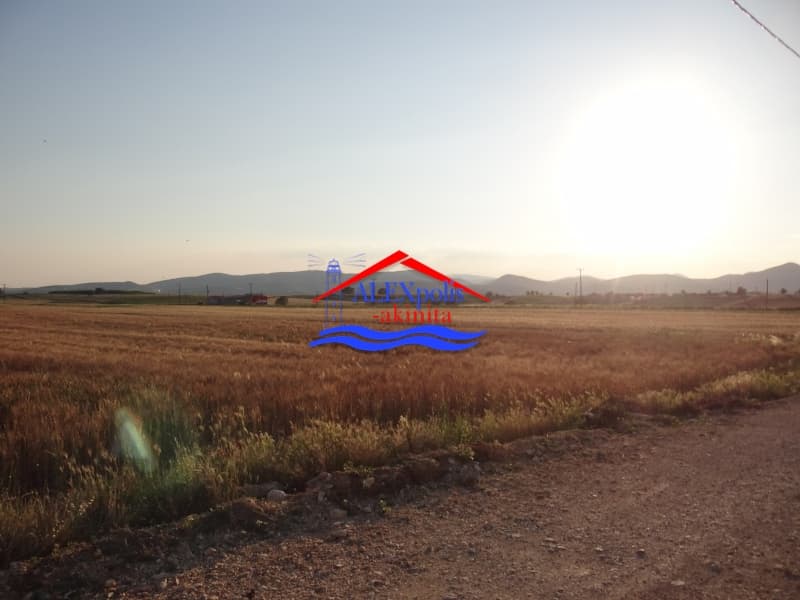 Parcel in Doriko, Traianoupoli — Photo 10 of 23