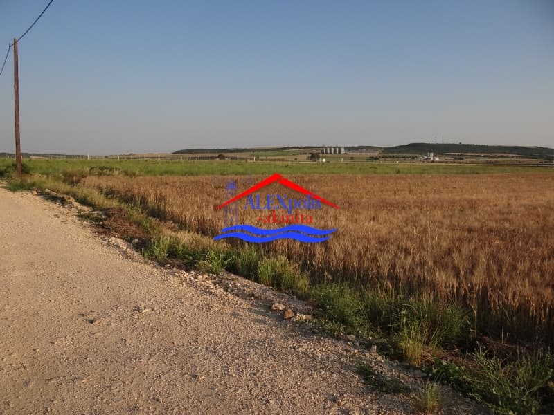 Parcel in Doriko, Traianoupoli — Photo 16 of 23