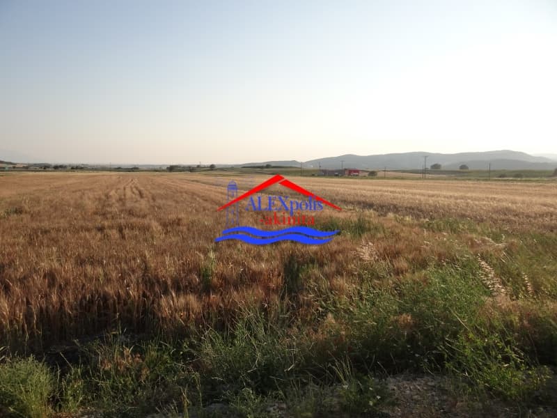 Parcel in Doriko, Traianoupoli — Photo 19 of 23