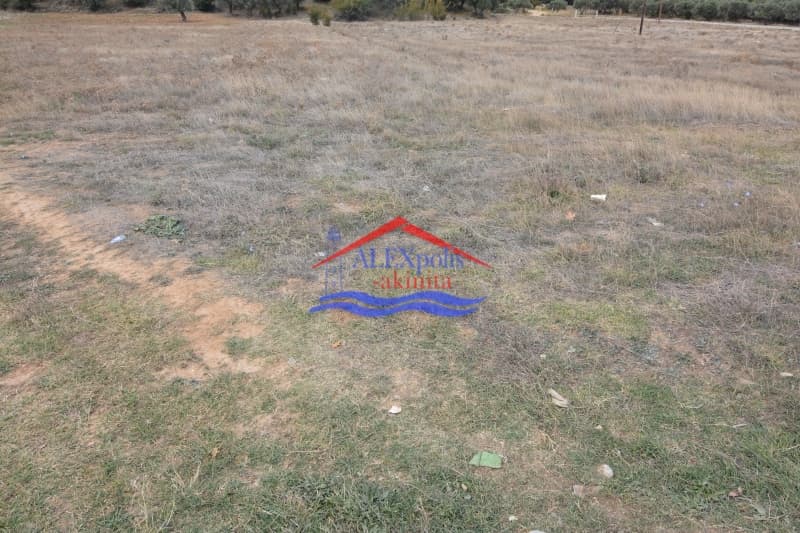 Parcel in Palagia, Alexandroupoli — Photo 4 of 5