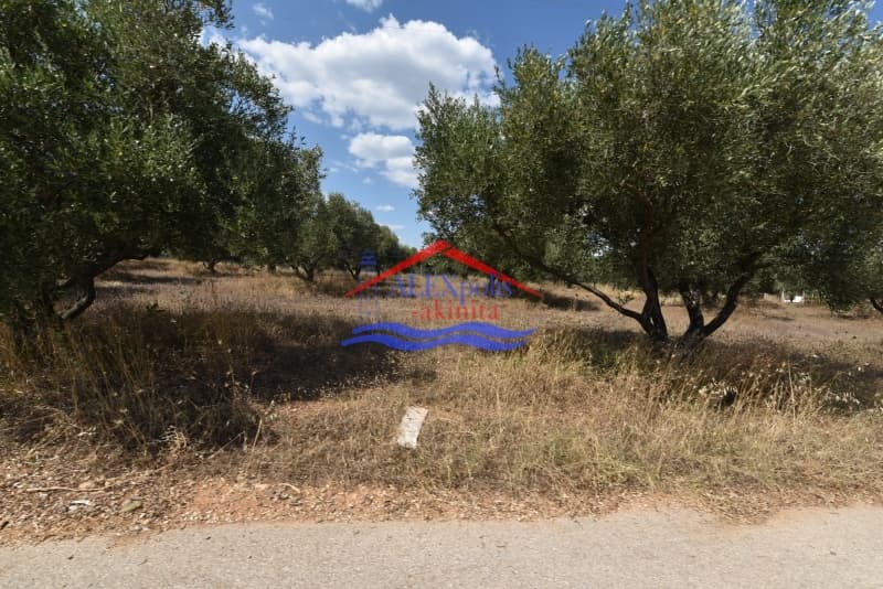 Parcel in Aristino, Traianoupoli — Photo 1 of 5