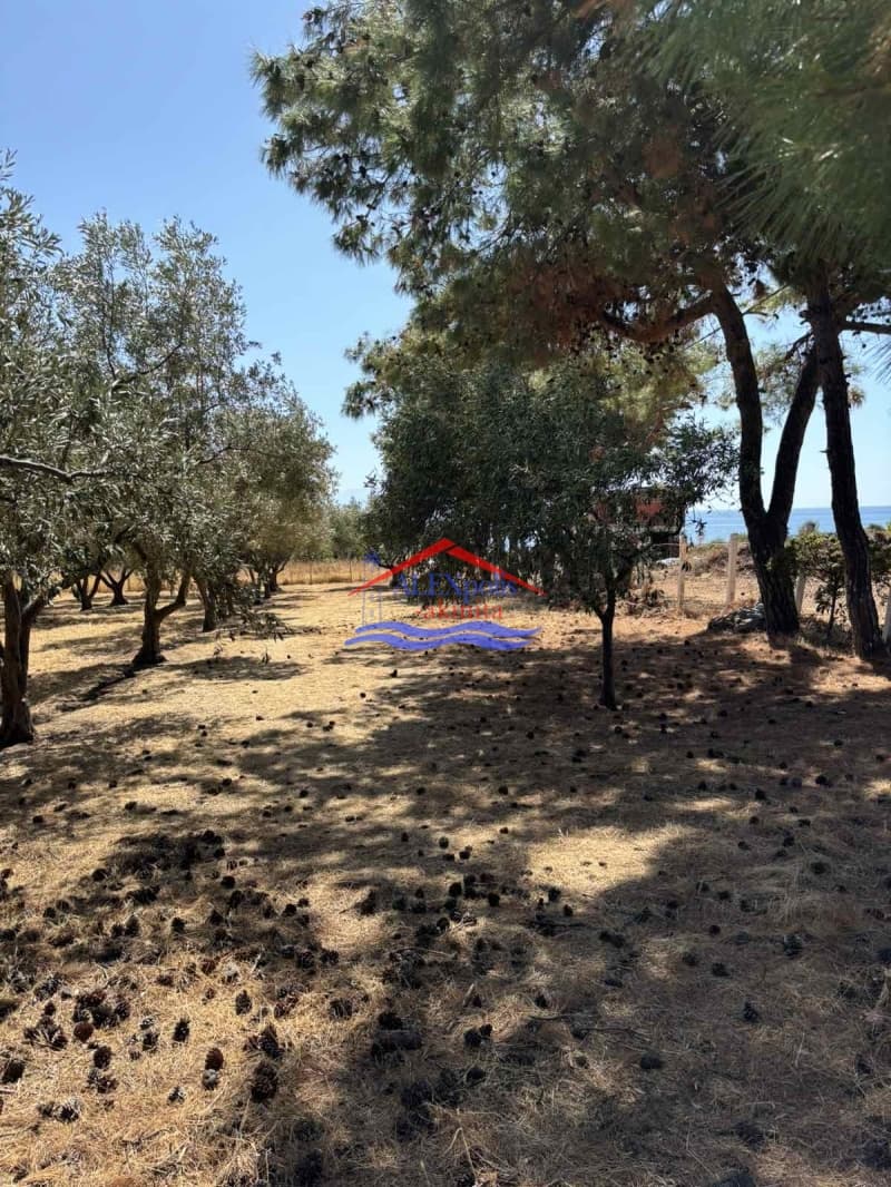 Parcel in Mesimvria, Alexandroupoli — Photo 5 of 5
