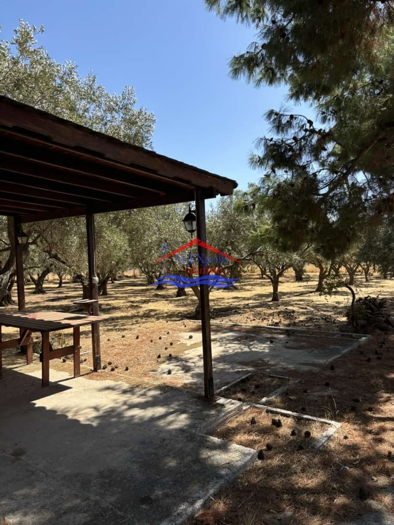 Parcel in Mesimvria, Alexandroupoli — Photo 2 of 5