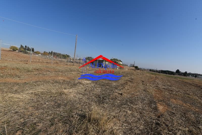 Αγροτεμάχιο στην Απαλός, Αλεξανδρούπολη — Φωτογραφία 21 από 31