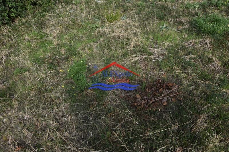 Building Plot in Gimnasia, Alexandroupoli — Photo 7 of 8