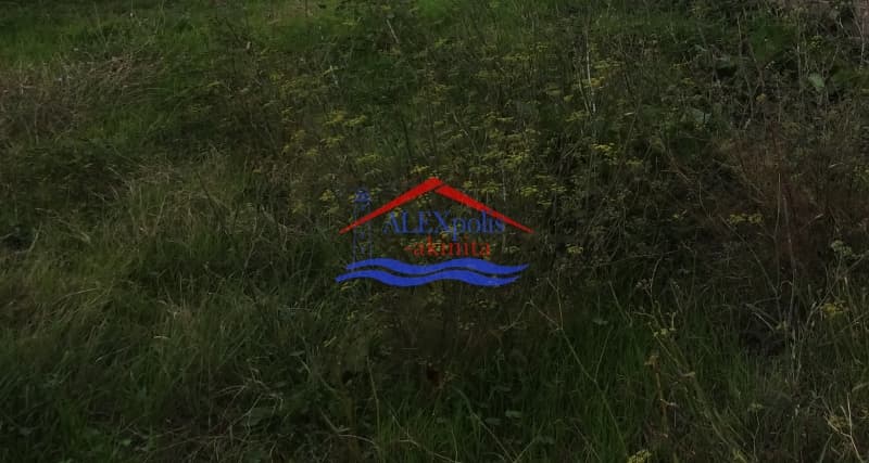 Building Plot in Aisimi, Traianoupoli — Photo 2 of 3