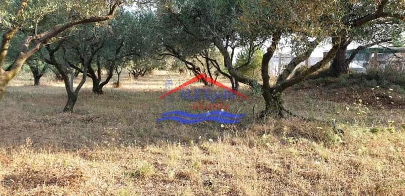 Parcel in Paralia Dikellon, Alexandroupoli — Photo 6 of 9