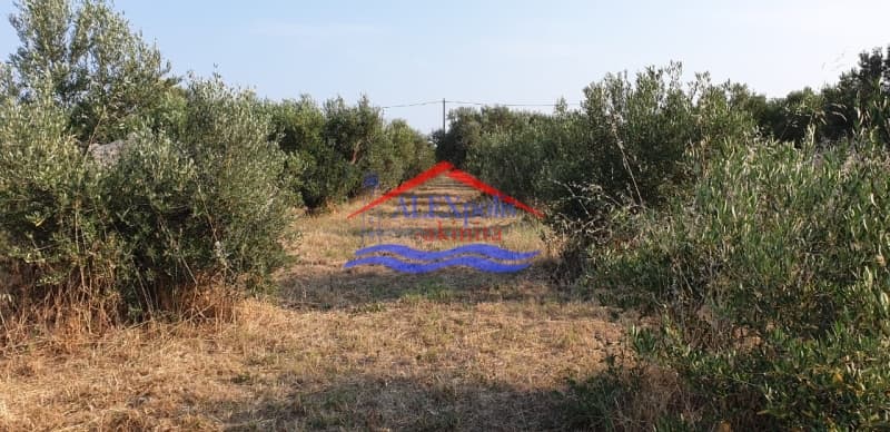 Parcel in Paralia Dikellon, Alexandroupoli — Photo 5 of 9