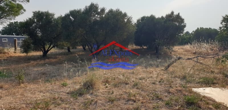 Parcel in Paralia Dikellon, Alexandroupoli — Photo 8 of 9