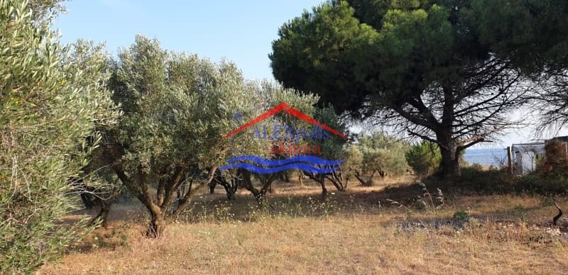 Parcel in Paralia Dikellon, Alexandroupoli — Photo 7 of 9