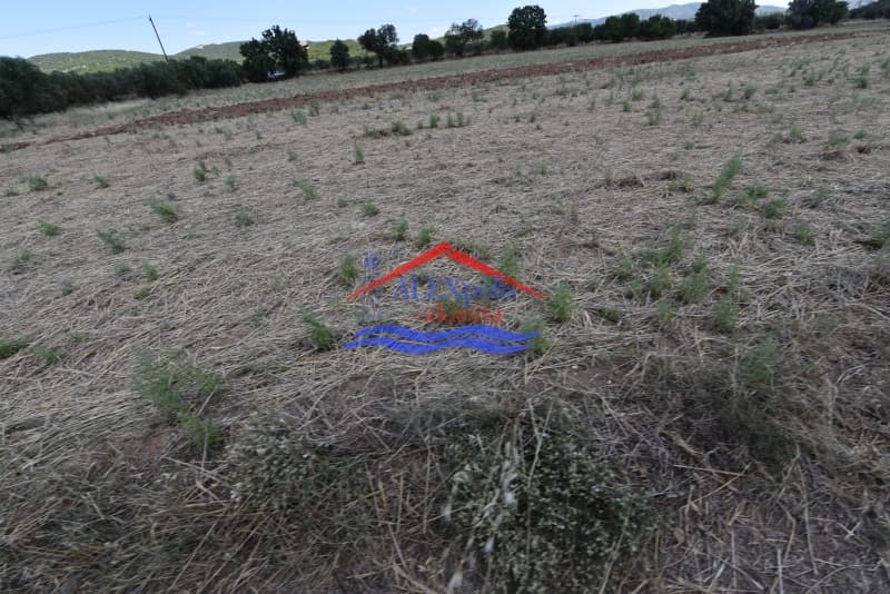 Building Plot in Center, Feres — Photo 3 of 7