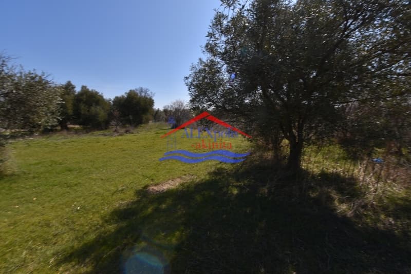 Οικόπεδο στην Παραλία Δικελλών, Αλεξανδρούπολη — Φωτογραφία 6 από 12