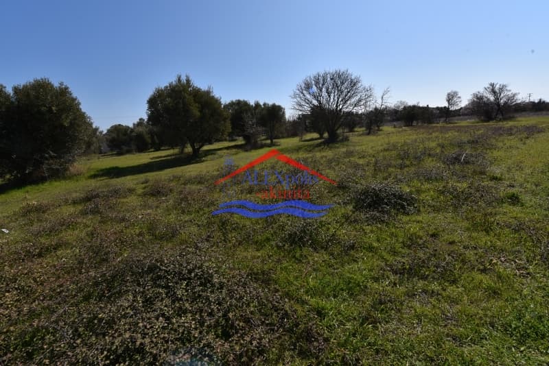 Οικόπεδο στην Παραλία Δικελλών, Αλεξανδρούπολη — Φωτογραφία 8 από 12