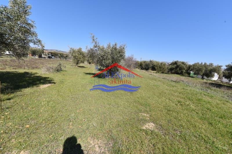 Οικόπεδο στην Παραλία Δικελλών, Αλεξανδρούπολη — Φωτογραφία 12 από 12
