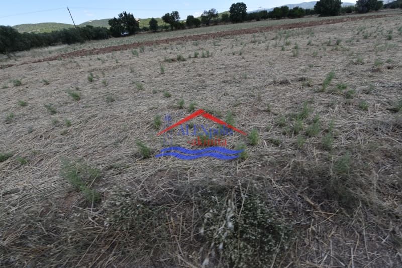 Αγροτεμάχιο στην Δίκελλα, Αλεξανδρούπολη — Φωτογραφία 2 από 2