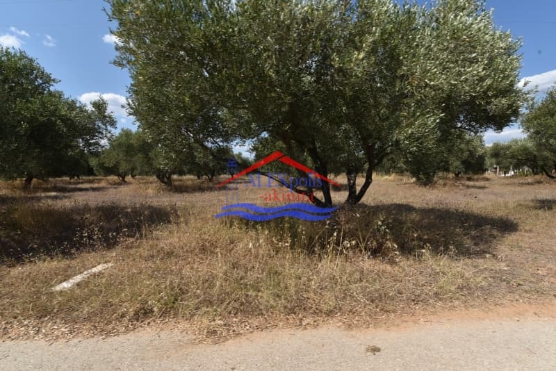 Parcel in Avantas, Alexandroupoli — Photo 1 of 3