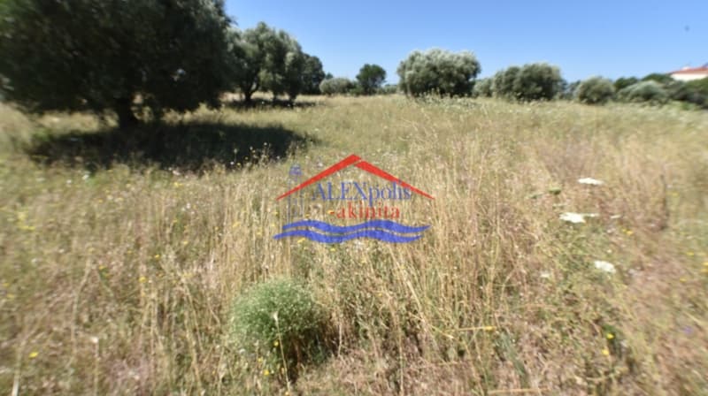Parcel in Avantas, Alexandroupoli — Photo 3 of 3