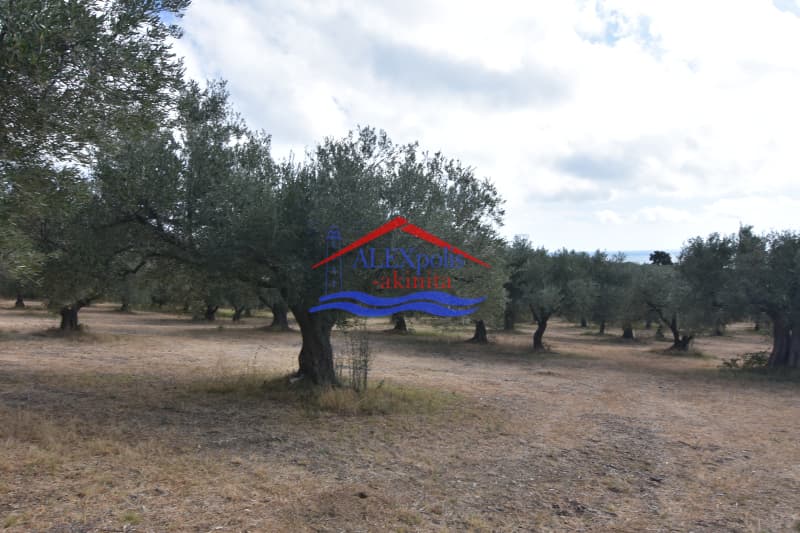 Αγροτεμάχιο στην Μάκρη, Αλεξανδρούπολη — Φωτογραφία 4 από 5