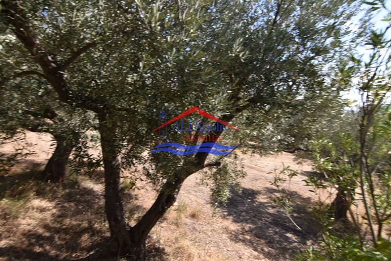 Αγροτεμάχιο στην Μάκρη, Αλεξανδρούπολη — Φωτογραφία 3 από 5
