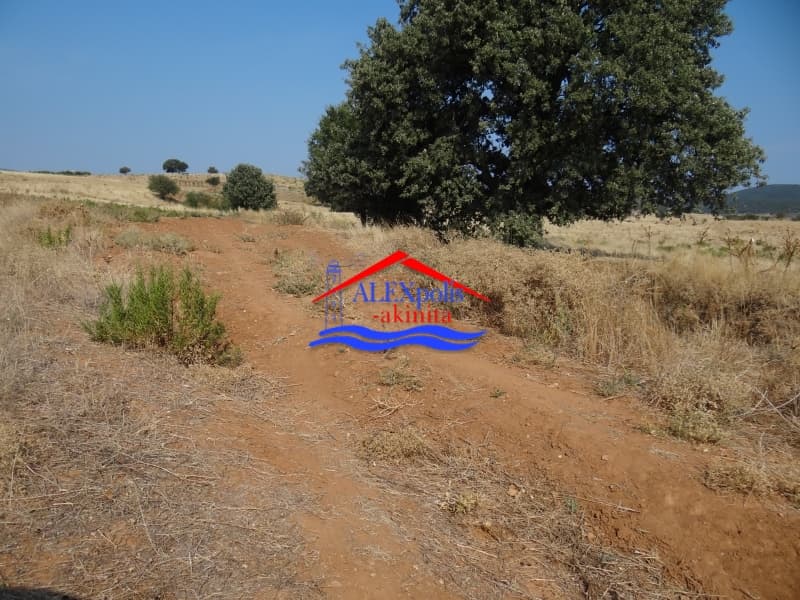Αγροτεμάχιο στην Παλαγία, Αλεξανδρούπολη — Φωτογραφία 13 από 21