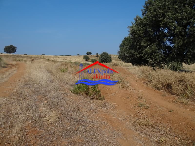 Αγροτεμάχιο στην Παλαγία, Αλεξανδρούπολη — Φωτογραφία 12 από 21