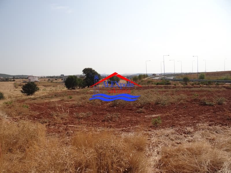Αγροτεμάχιο στην Παλαγία, Αλεξανδρούπολη — Φωτογραφία 19 από 21